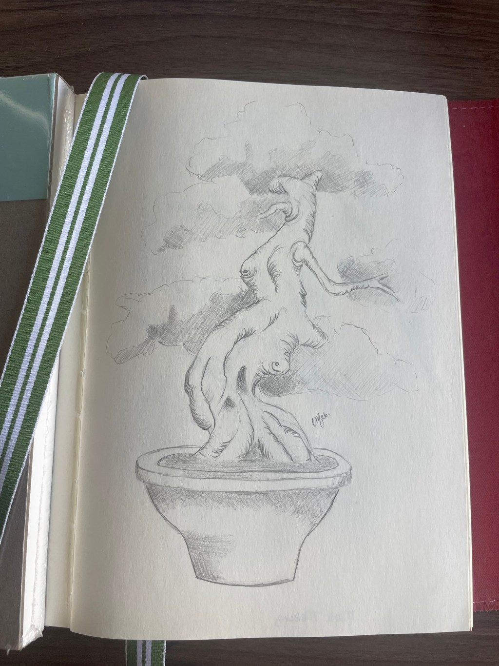 Little bonsai tree